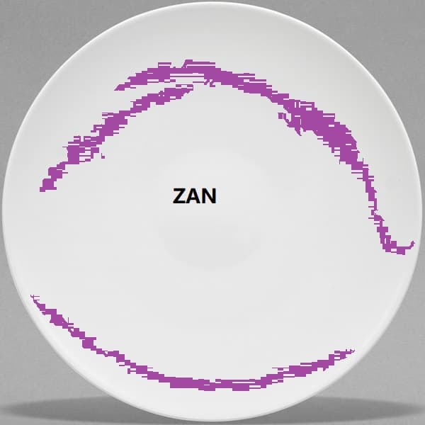 Coupe flat plate 16cm Purple  16-3349-2661P