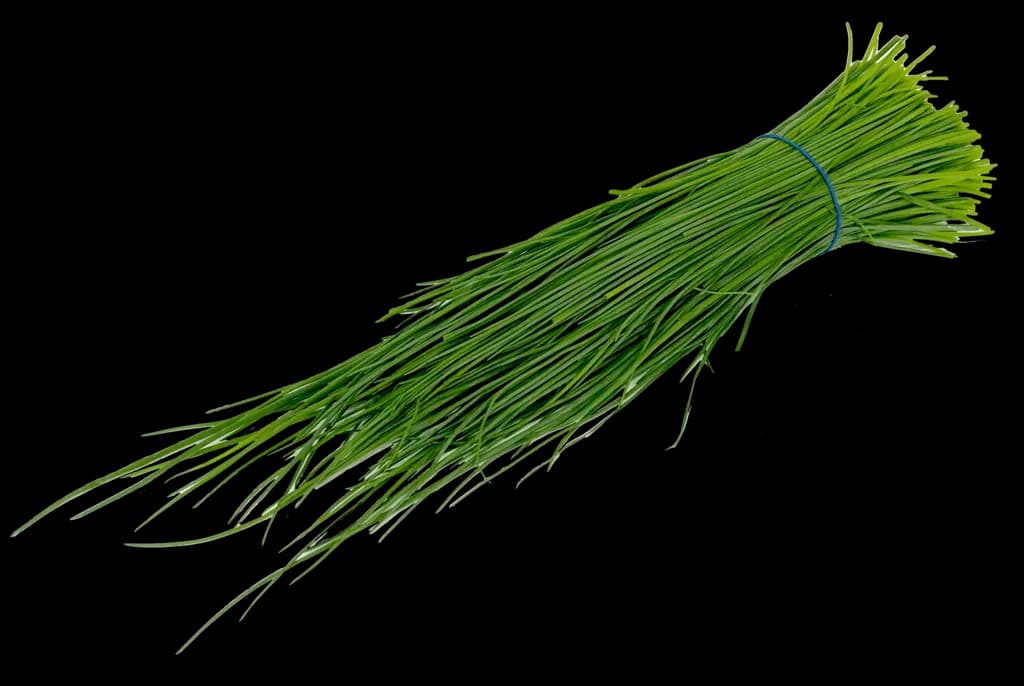 Gräslök 100g/Knipp Kenya