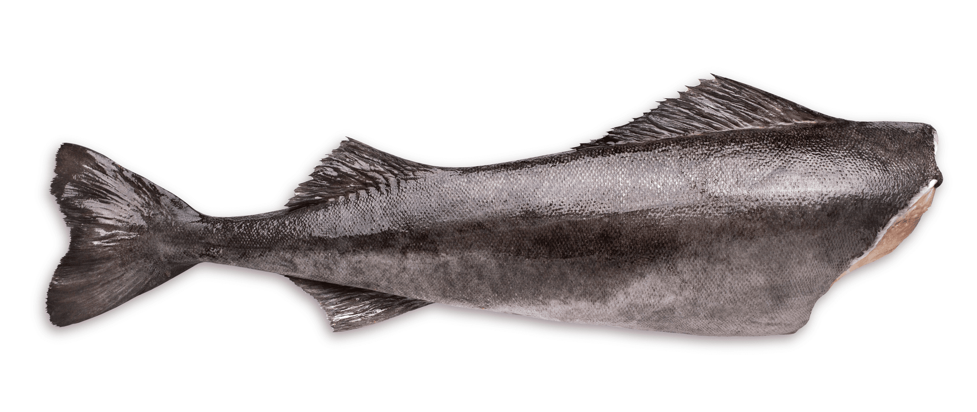 Black Cod Hel 1=1Kg