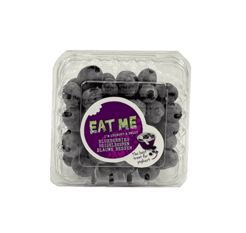 Blåbär 125g/Ask Nederländerna