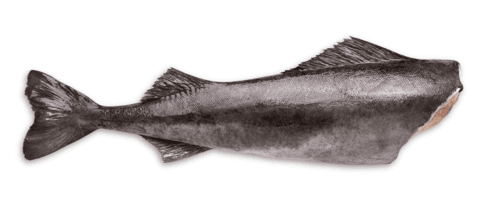 Black Cod Hel 1=1Kg