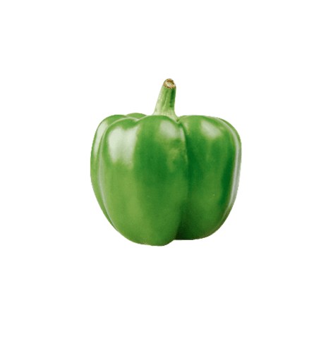 Paprika Rund Grön Ca400-500g/Förp Nederländerna