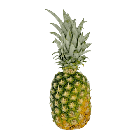 Ananas 1st Costa Rica 