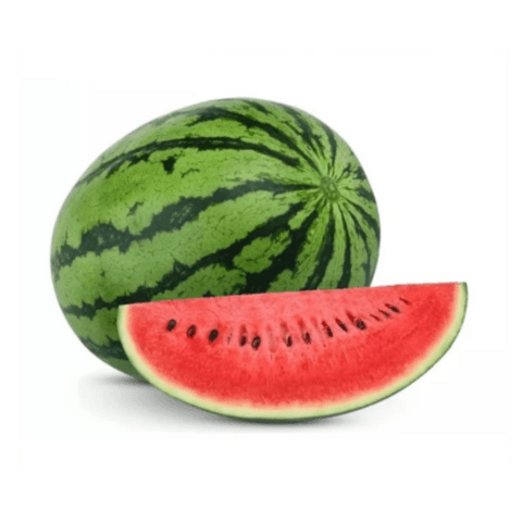 Vattenmelon Röd KG Dumara Mauretanien