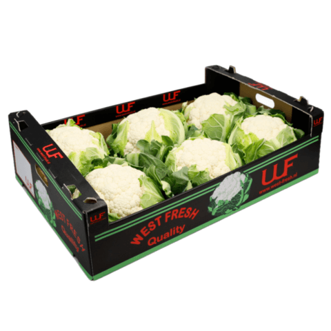Blomkål Bai Hua Cai 11KG/Krt Frankrike