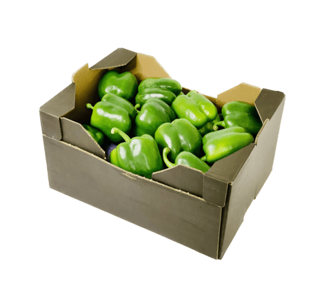Paprika Grön 5KG Netherländerna