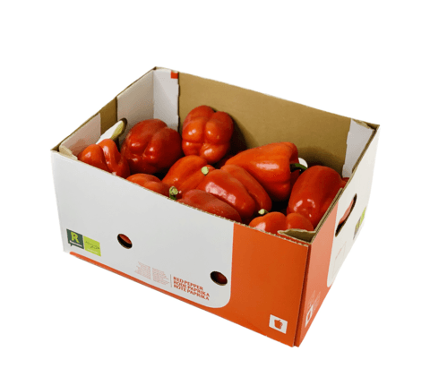 Paprika Röd 5kg Nederländerna