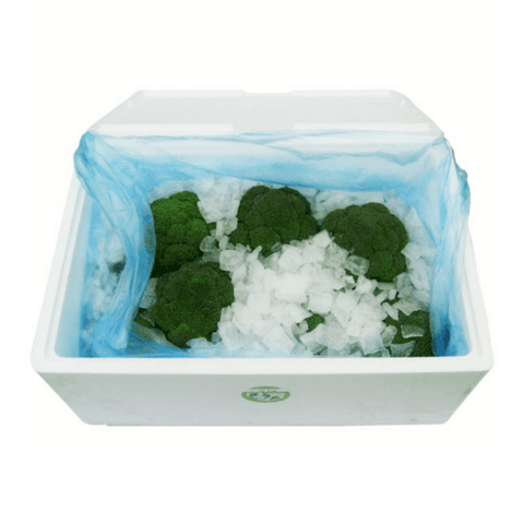 Broccoli Ice 8kg Spanien