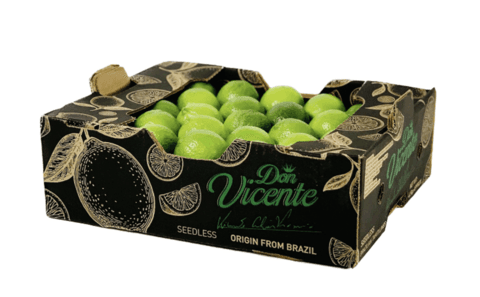 Lime Färsk 4KG(ca48-54st) Brasilien