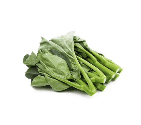 Kailan 1KG Spanien