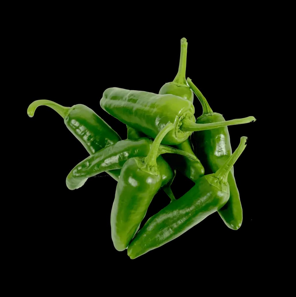 Padron paprika 1x2kg Marocko