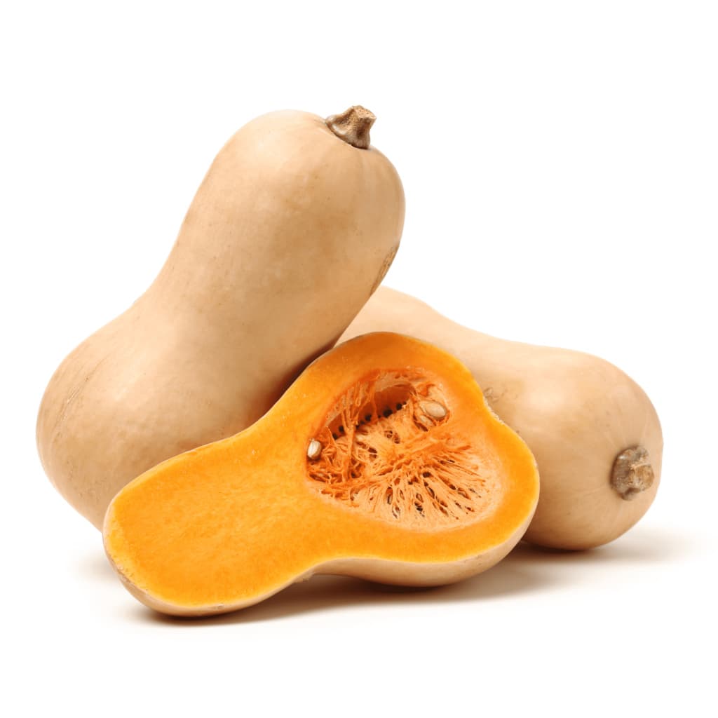 Pumpa Butternut 1st Spanien